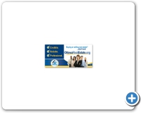 OREB_REALTOR�Promo3_12